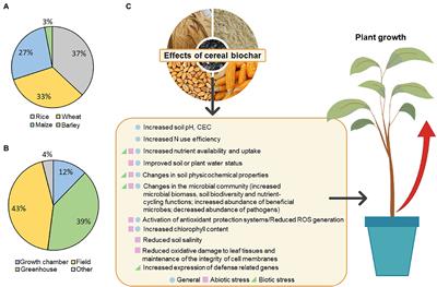 Frontiers Overview of the use of biochar from main cereals to